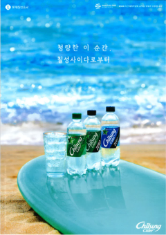 롯데칠성음료 표지